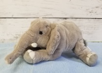 カロ　寝アフリカゾウ